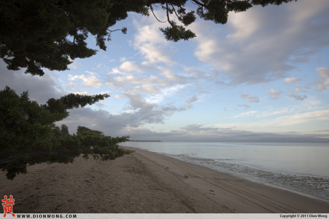 DionWong_CrownBeach_3