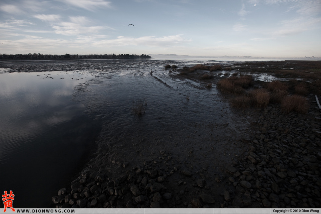 Alameda_LowTide_1