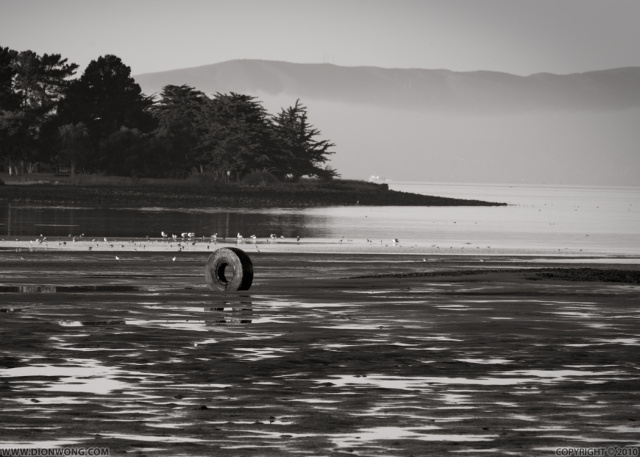 Alameda_LowTide_3