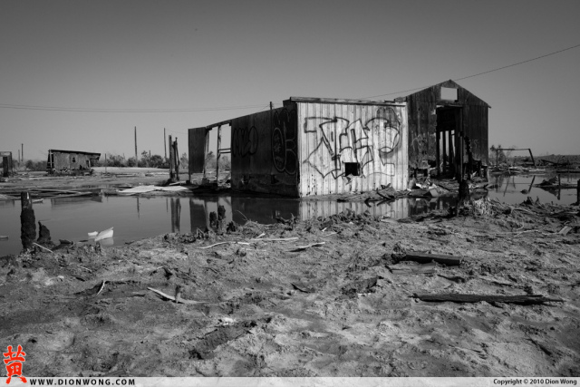 DionWong_BombayBeach_2