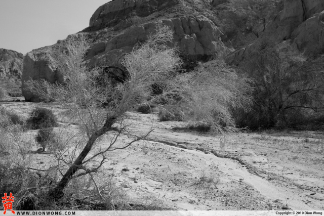 DionWong_BoxCanyon_3