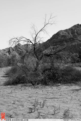 DionWong_BoxCanyon_5