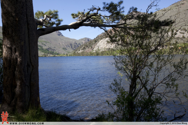DionWong_JuneLake_1