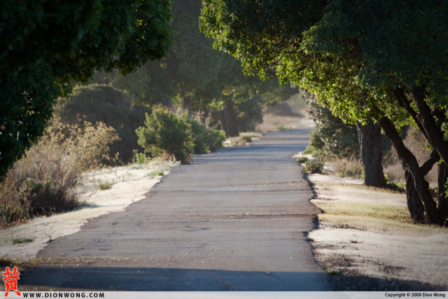 MLK_Slough_2