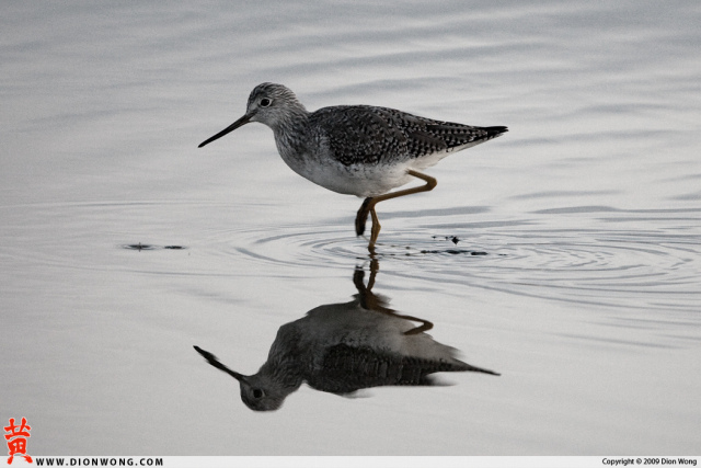 MLK_Slough_3