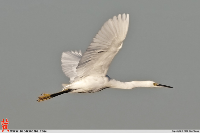 MLK_Slough_6