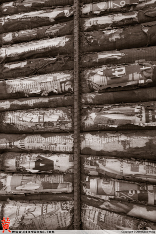 DionWong_NoahPurifoy_4