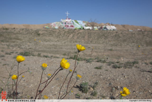 DionWong_SalvationMountain_02