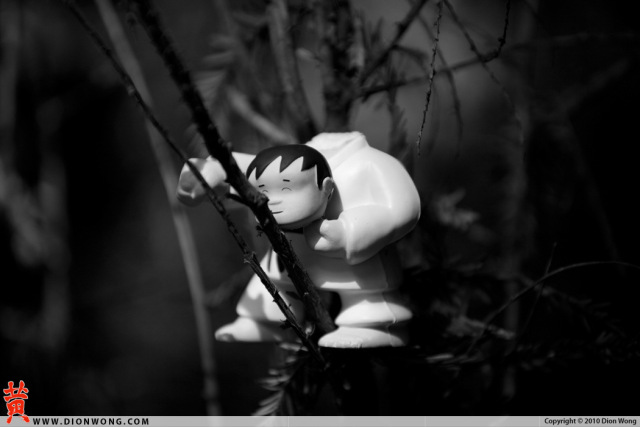DionWong_SF_BotanicalGarden_04